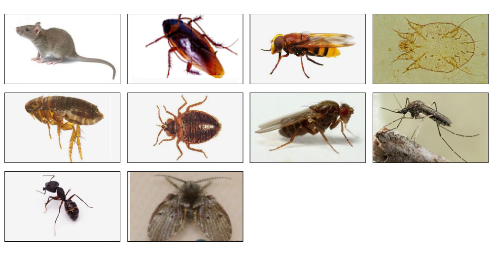 1685008126573456.jpg 0.jpg